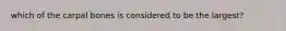 which of the carpal bones is considered to be the largest?