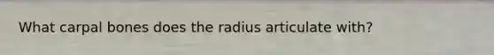 What carpal bones does the radius articulate with?