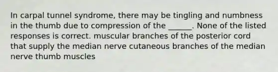 In carpal tunnel syndrome, there may be tingling and numbness in the thumb due to compression of the ______. None of the listed responses is correct. muscular branches of the posterior cord that supply the median nerve cutaneous branches of the median nerve thumb muscles