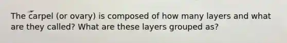 The carpel (or ovary) is composed of how many layers and what are they called? What are these layers grouped as?