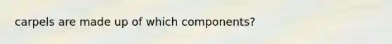 carpels are made up of which components?