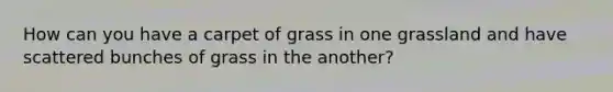 How can you have a carpet of grass in one grassland and have scattered bunches of grass in the another?