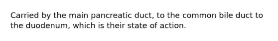 Carried by the main pancreatic duct, to the common bile duct to the duodenum, which is their state of action.