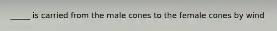 _____ is carried from the male cones to the female cones by wind