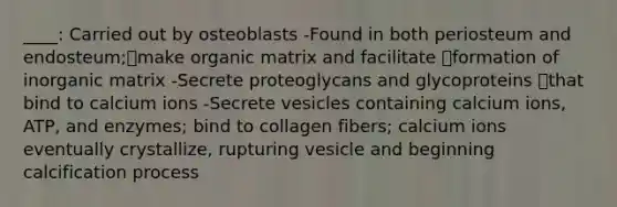 ____: Carried out by osteoblasts -Found in both periosteum and endosteum;make organic matrix and facilitate formation of inorganic matrix -Secrete proteoglycans and glycoproteins that bind to calcium ions -Secrete vesicles containing calcium ions, ATP, and enzymes; bind to collagen fibers; calcium ions eventually crystallize, rupturing vesicle and beginning calcification process