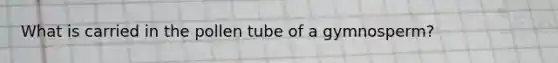 What is carried in the pollen tube of a gymnosperm?