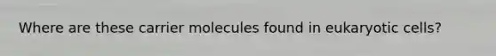 Where are these carrier molecules found in <a href='https://www.questionai.com/knowledge/kb526cpm6R-eukaryotic-cells' class='anchor-knowledge'>eukaryotic cells</a>?