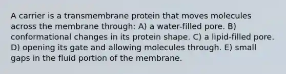 A carrier is a transmembrane protein that moves molecules across the membrane through: A) a water-filled pore. B) conformational changes in its protein shape. C) a lipid-filled pore. D) opening its gate and allowing molecules through. E) small gaps in the fluid portion of the membrane.