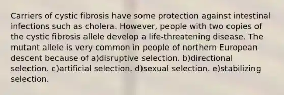 Carriers of cystic fibrosis have some protection against intestinal infections such as cholera. However, people with two copies of the cystic fibrosis allele develop a life-threatening disease. The mutant allele is very common in people of northern European descent because of a)disruptive selection. b)directional selection. c)artificial selection. d)sexual selection. e)stabilizing selection.