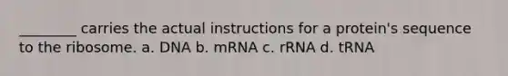 ________ carries the actual instructions for a protein's sequence to the ribosome. a. DNA b. mRNA c. rRNA d. tRNA