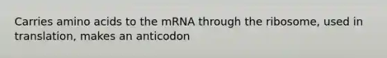 Carries amino acids to the mRNA through the ribosome, used in translation, makes an anticodon