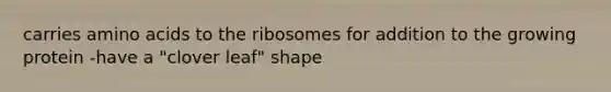 carries amino acids to the ribosomes for addition to the growing protein -have a "clover leaf" shape