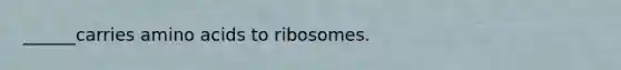 ______carries amino acids to ribosomes.