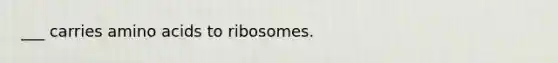 ___ carries amino acids to ribosomes.