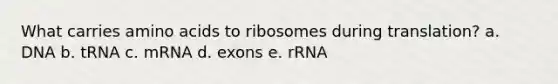 What carries <a href='https://www.questionai.com/knowledge/k9gb720LCl-amino-acids' class='anchor-knowledge'>amino acids</a> to ribosomes during translation? a. DNA b. tRNA c. mRNA d. exons e. rRNA