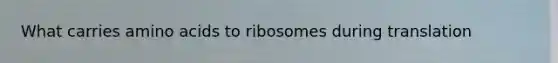 What carries <a href='https://www.questionai.com/knowledge/k9gb720LCl-amino-acids' class='anchor-knowledge'>amino acids</a> to ribosomes during translation