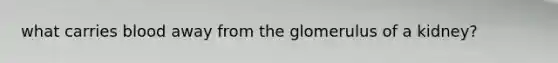 what carries blood away from the glomerulus of a kidney?