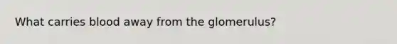 What carries blood away from the glomerulus?