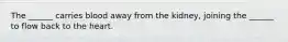 The ______ carries blood away from the kidney, joining the ______ to flow back to the heart.
