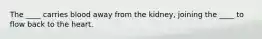 The ____ carries blood away from the kidney, joining the ____ to flow back to the heart.