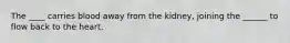 The ____ carries blood away from the kidney, joining the ______ to flow back to the heart.