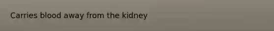 Carries blood away from the kidney