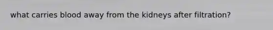 what carries blood away from the kidneys after filtration?