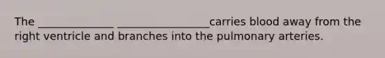 The ______________ _________________carries blood away from the right ventricle and branches into the pulmonary arteries.