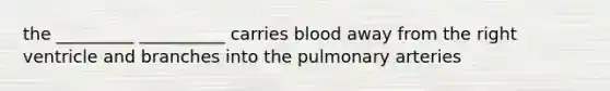 the _________ __________ carries blood away from the right ventricle and branches into the pulmonary arteries