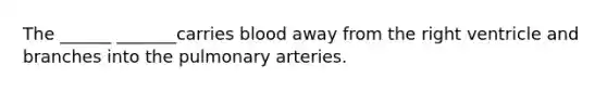 The ______ _______carries blood away from the right ventricle and branches into the pulmonary arteries.