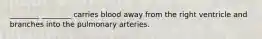 ________ ________ carries blood away from the right ventricle and branches into the pulmonary arteries.