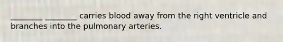 ________ ________ carries blood away from the right ventricle and branches into the pulmonary arteries.