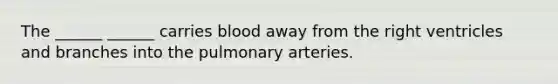 The ______ ______ carries blood away from the right ventricles and branches into the pulmonary arteries.