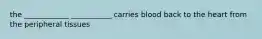 the ____________ ___________ carries blood back to the heart from the peripheral tissues