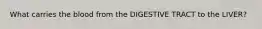 What carries the blood from the DIGESTIVE TRACT to the LIVER?