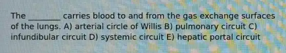 The ________ carries blood to and from the <a href='https://www.questionai.com/knowledge/kU8LNOksTA-gas-exchange' class='anchor-knowledge'>gas exchange</a> surfaces of the lungs. A) arterial circle of Willis B) pulmonary circuit C) infundibular circuit D) systemic circuit E) hepatic portal circuit