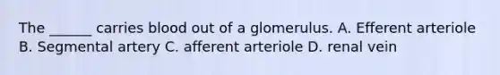 The ______ carries blood out of a glomerulus. A. Efferent arteriole B. Segmental artery C. afferent arteriole D. renal vein