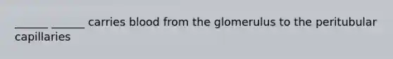 ______ ______ carries blood from the glomerulus to the peritubular capillaries