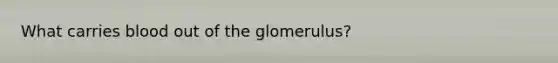 What carries blood out of the glomerulus?