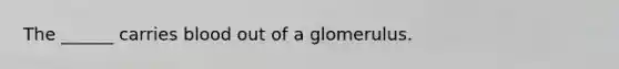 The ______ carries blood out of a glomerulus.