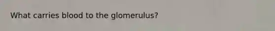 What carries blood to the glomerulus?