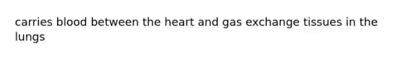 carries blood between <a href='https://www.questionai.com/knowledge/kya8ocqc6o-the-heart' class='anchor-knowledge'>the heart</a> and <a href='https://www.questionai.com/knowledge/kU8LNOksTA-gas-exchange' class='anchor-knowledge'>gas exchange</a> tissues in the lungs