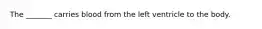 The _______ carries blood from the left ventricle to the body.