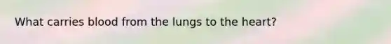 What carries blood from the lungs to the heart?