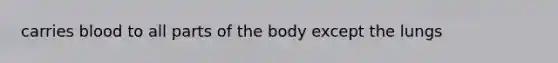 carries blood to all parts of the body except the lungs