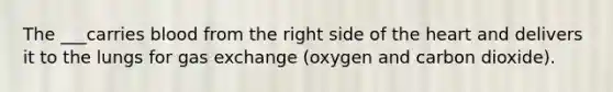 The ___carries blood from the right side of the heart and delivers it to the lungs for gas exchange (oxygen and carbon dioxide).