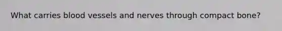 What carries <a href='https://www.questionai.com/knowledge/kZJ3mNKN7P-blood-vessels' class='anchor-knowledge'>blood vessels</a> and nerves through compact bone?