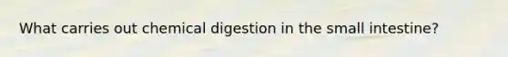 What carries out chemical digestion in the small intestine?