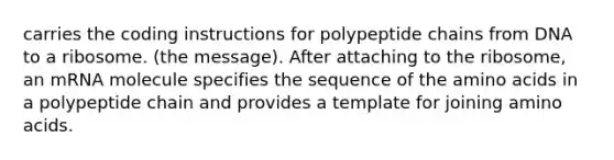 carries the coding instructions for polypeptide chains from DNA to a ribosome. (the message). After attaching to the ribosome, an mRNA molecule specifies the sequence of the <a href='https://www.questionai.com/knowledge/k9gb720LCl-amino-acids' class='anchor-knowledge'>amino acids</a> in a polypeptide chain and provides a template for joining amino acids.