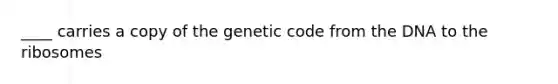 ____ carries a copy of the genetic code from the DNA to the ribosomes